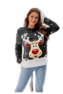 Women's Ugly Christmas Knit Top